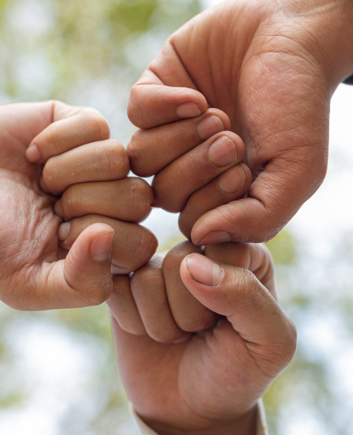 Stories That Inspire Purpose