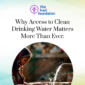 12 Why Access to Clean Drinking Water Matters More Than Ever 85x85